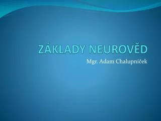 z klady neurov d