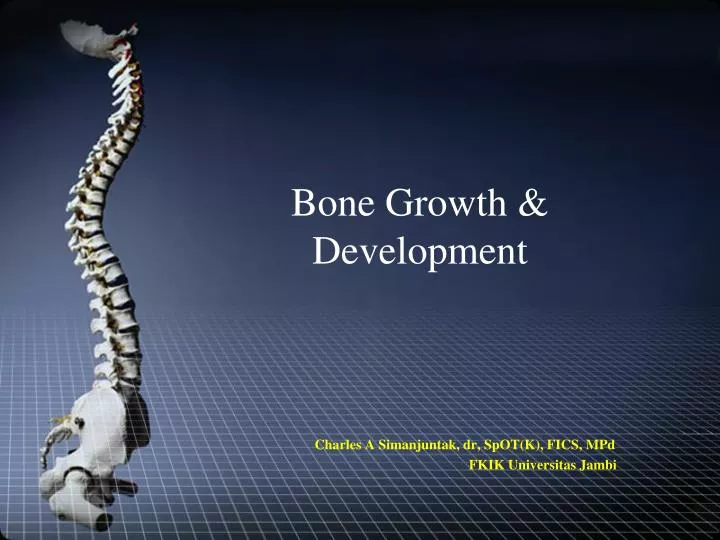 bone growth development