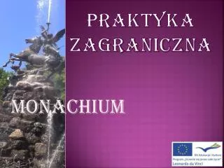 praktyka zagraniczna