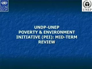 UNDP-UNEP POVERTY &amp; ENVIRONMENT INITIATIVE (PEI): MID-TERM REVIEW