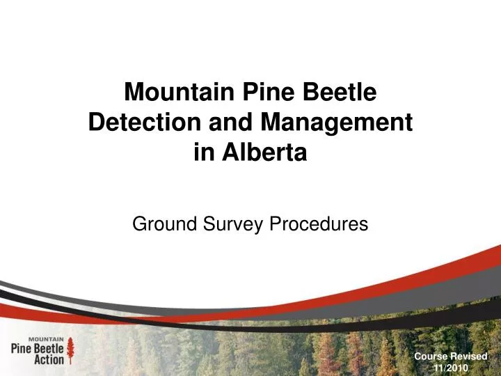 mountain pine beetle detection and management in alberta