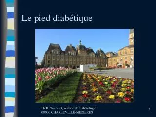 le pied diab tique