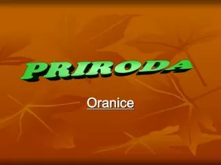 oranice