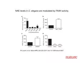 M Lucanic et al. Nature 473 , 226-229 (2011) doi:10.1038/nature10007