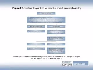 Figure 2 A treatment algorithm for membranous lupus nephropathy