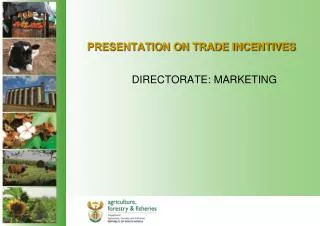 PRESENTATION ON TRADE INCENTIVES