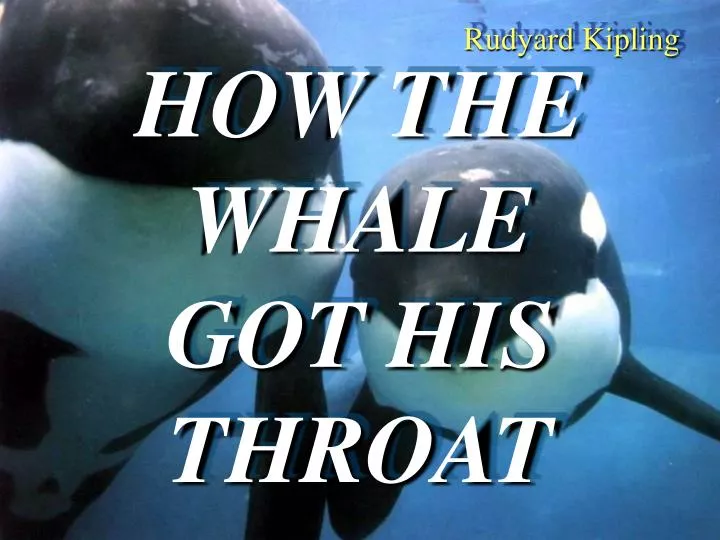how the whale got his throat