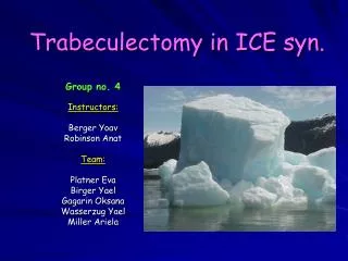 Trabeculectomy in ICE syn.