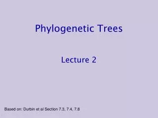 Phylogenetic Trees Lecture 2