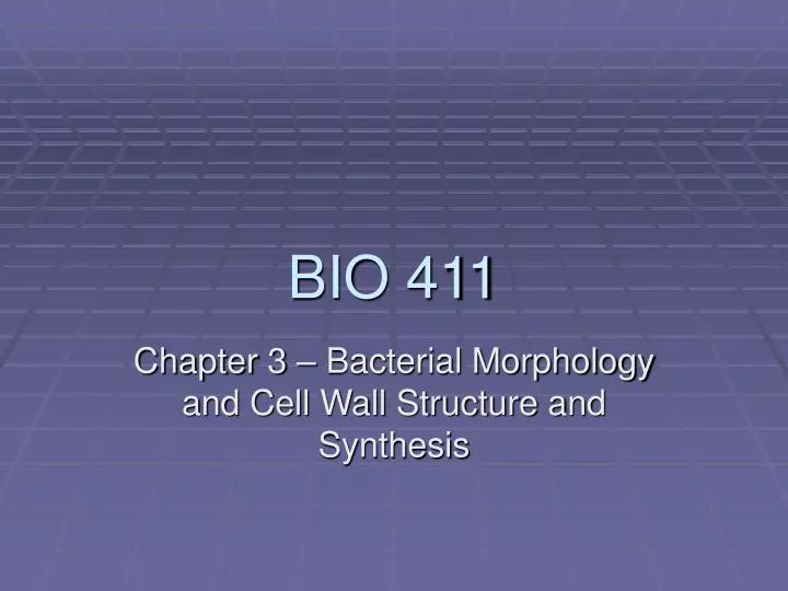 bio 411