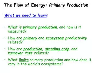 The Flow of Energy: Primary Production