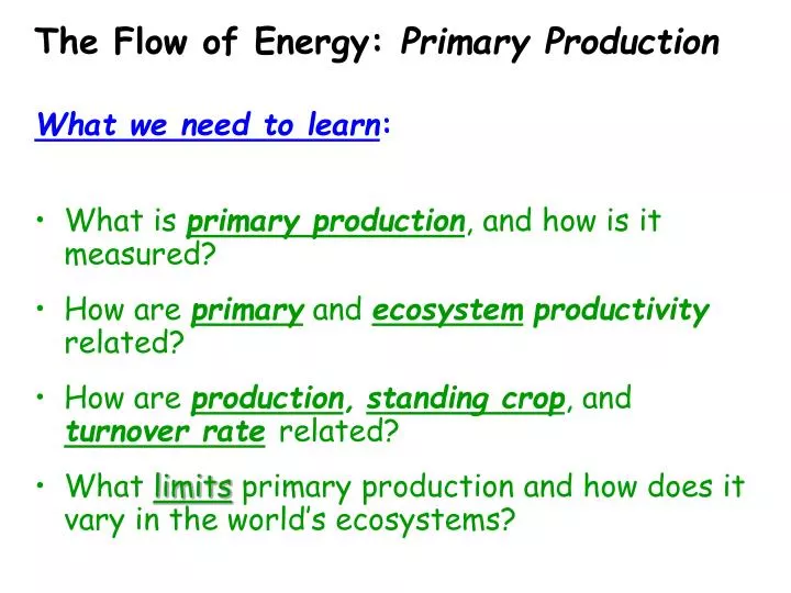 the flow of energy primary production