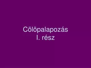 c l palapoz s i r sz