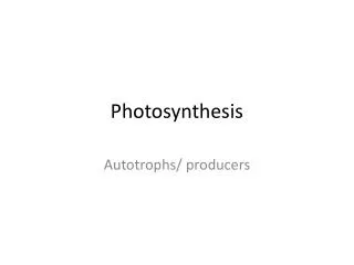 Photosynthesis