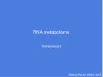 RNA metabolisme - slide 1
