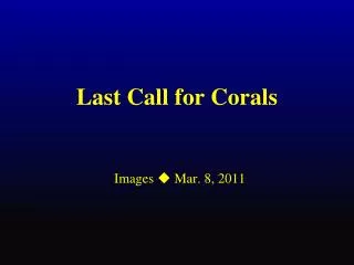 Last Call for Corals
