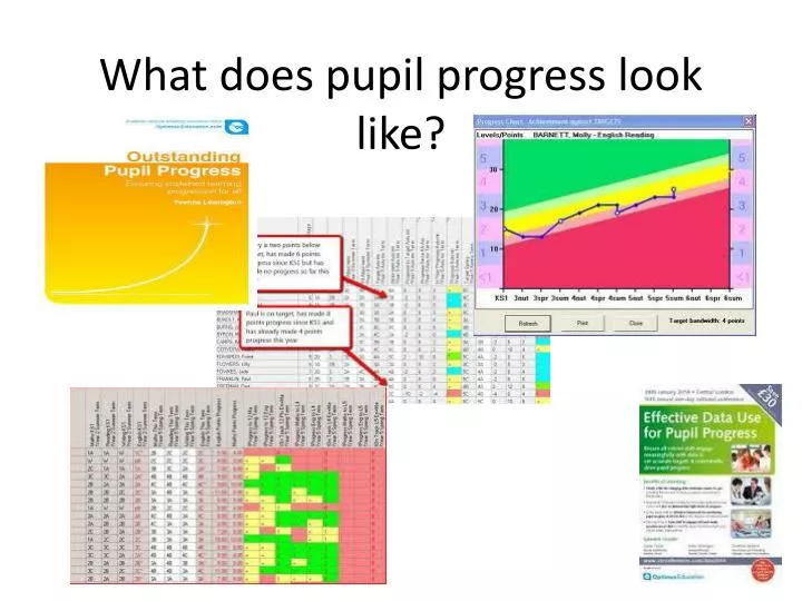 what does pupil progress look like