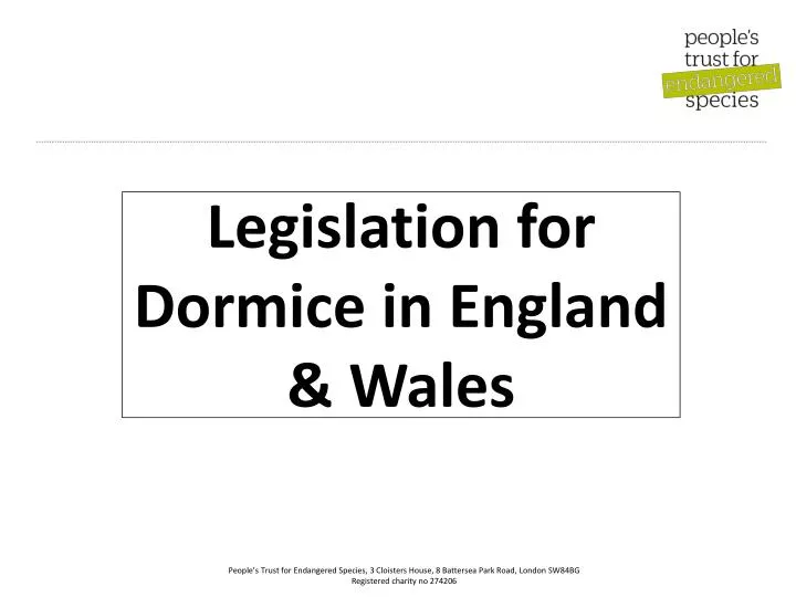 legislation for dormice in england wales