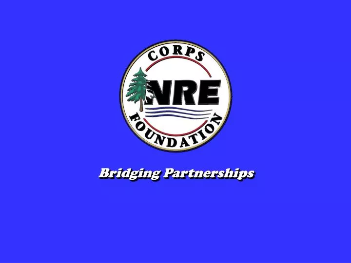 bridging partnerships