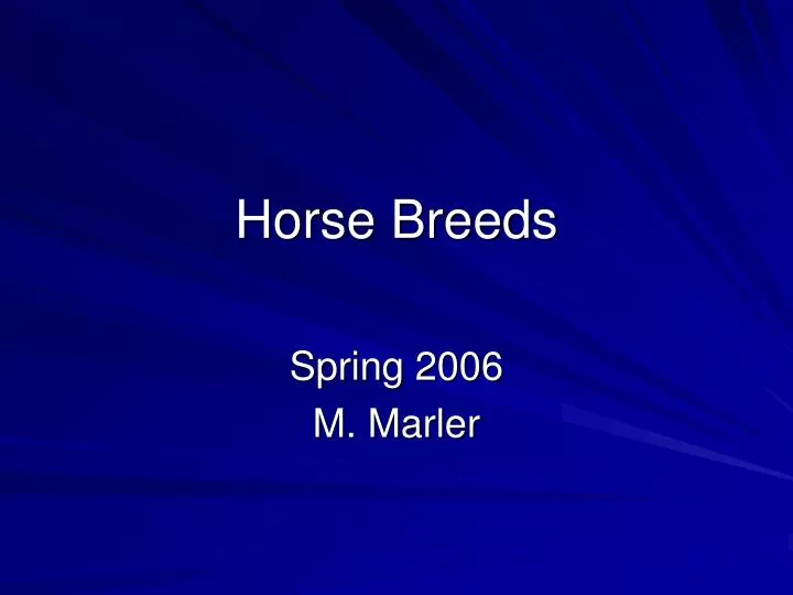 horse breeds