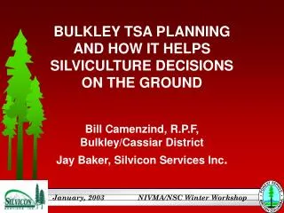 BULKLEY TSA PLANNING AND HOW IT HELPS SILVICULTURE DECISIONS ON THE GROUND