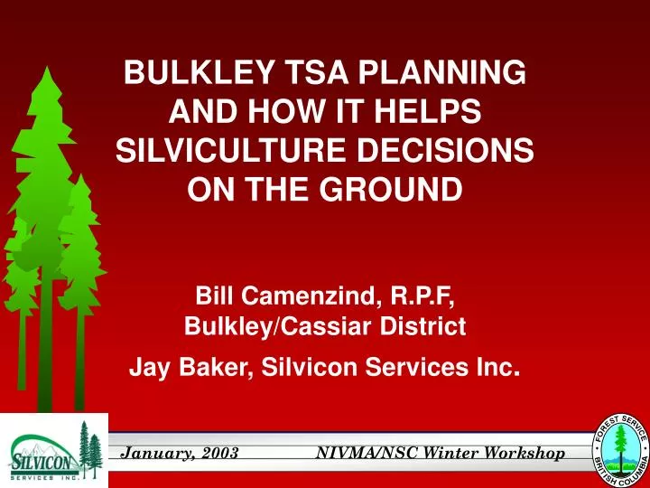bulkley tsa planning and how it helps silviculture decisions on the ground