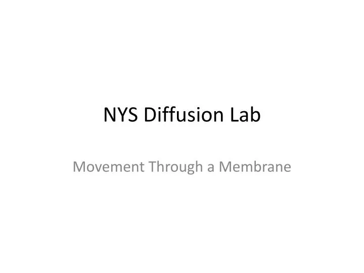 nys diffusion lab