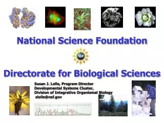 National Science Foundation Directorate for Biological Sciences