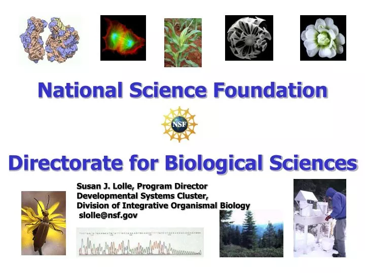 national science foundation directorate for biological sciences