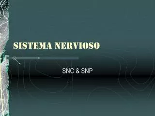 sistema nervioso