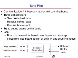 Strip Pilot