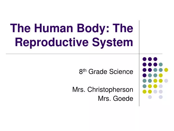 the human body the reproductive system