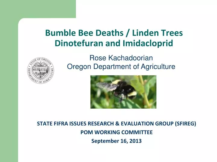 bumble bee deaths linden trees dinotefuran and imidacloprid