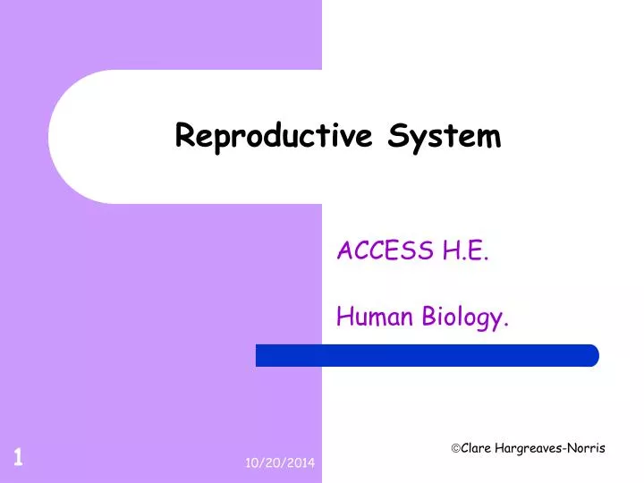 reproductive system