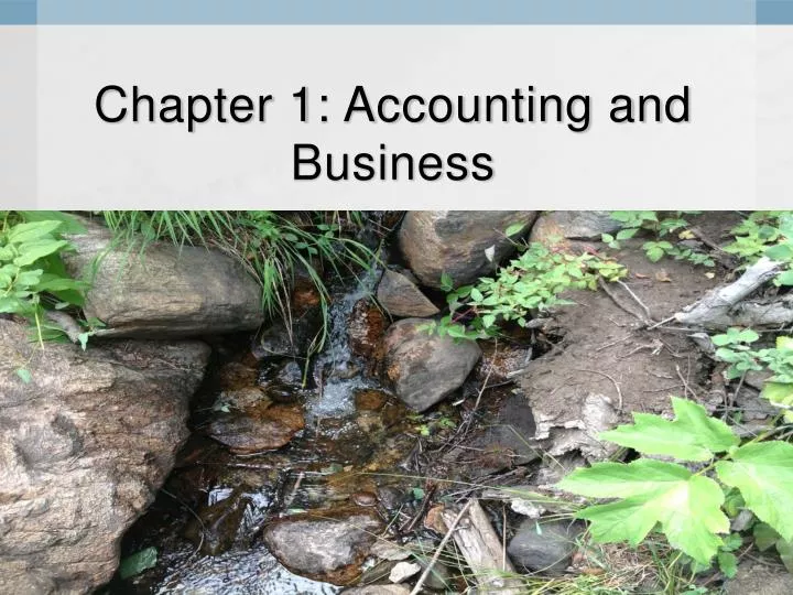 chapter 1 accounting and business
