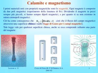 calamite e magnetismo