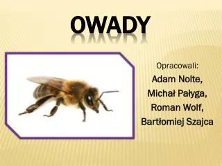 opracowali adam nolte micha pa yga roman wolf bart omiej szajca