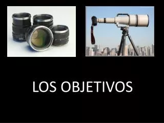 los objetivos