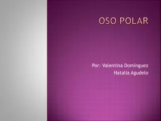 oso polar