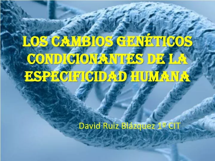 los cambios gen ticos condicionantes de la especificidad humana