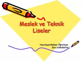 meslek ve teknik liseler