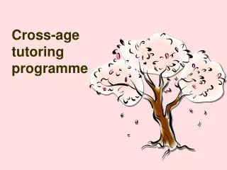 Cross-age tutoring programme