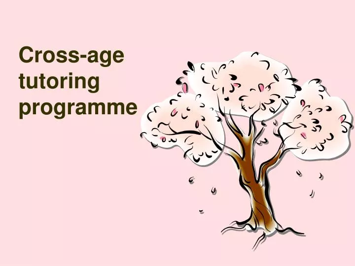 cross age tutoring programme