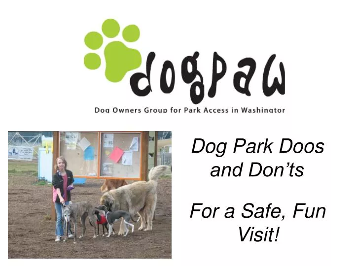 dog park doos and don ts for a safe fun visit
