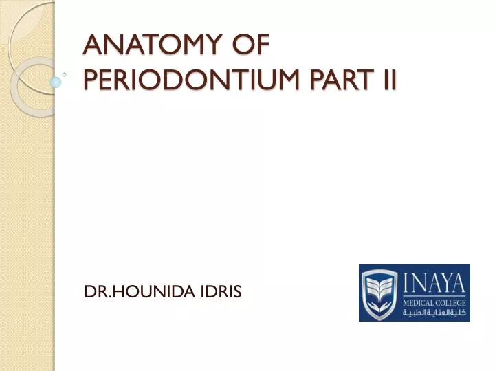anatomy of periodontium part ii