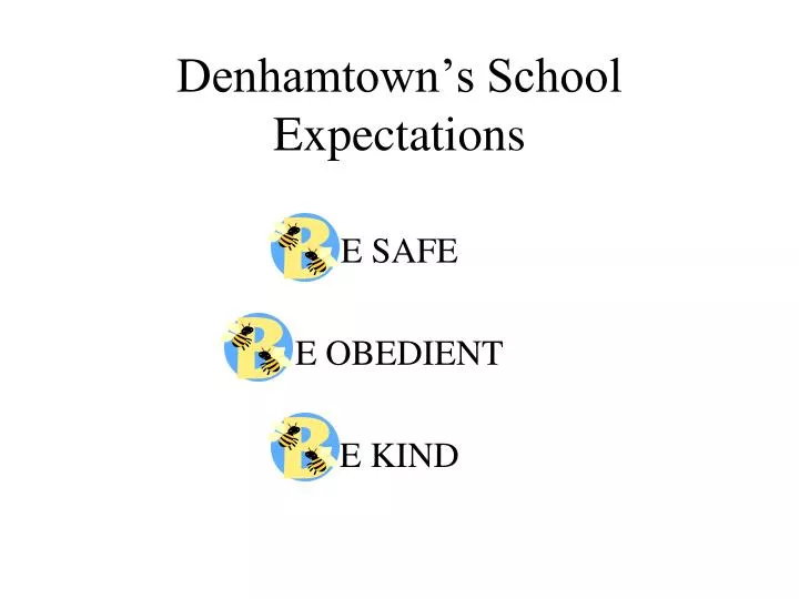 denhamtown s school expectations