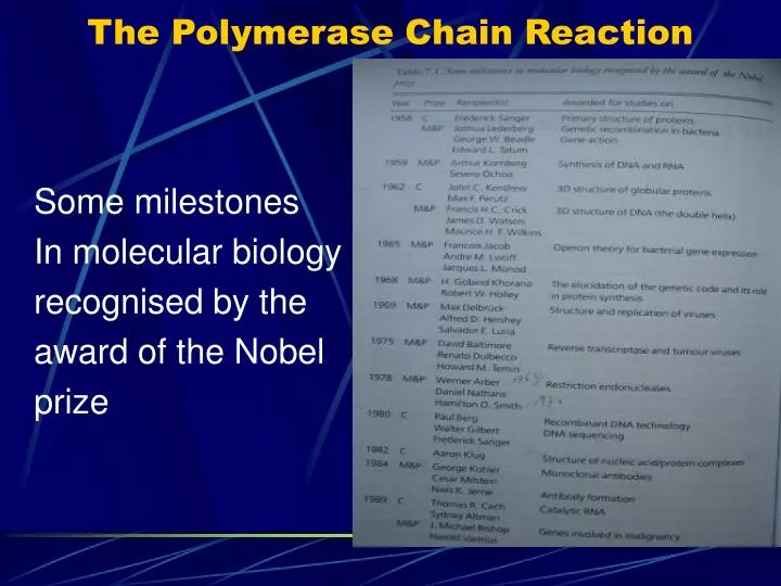 the polymerase chain reaction