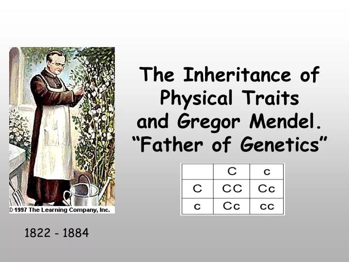 the inheritance of physical traits and gregor mendel father of genetics