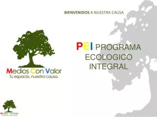 p e i programa ecologico integral