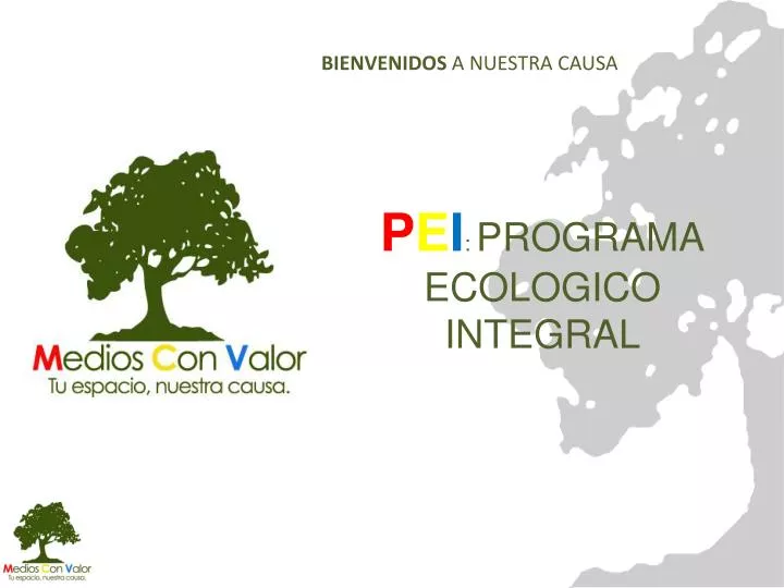 p e i programa ecologico integral